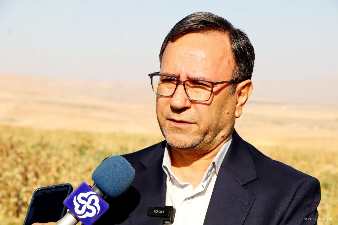 افزایش ۳۰ درصدی تولید شیر در لرستان