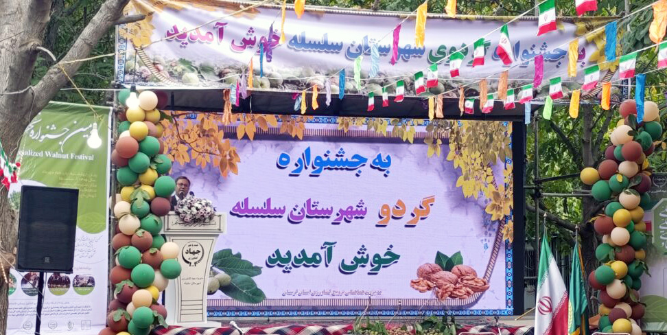 گردوی سلسله ظرفیت تبدیل شدن به یک برند ملی را دارد